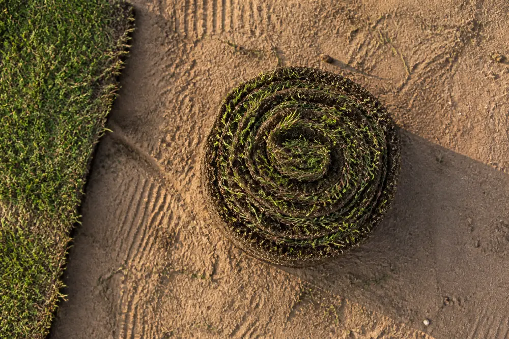 Sod Installation in Sarasota, FL