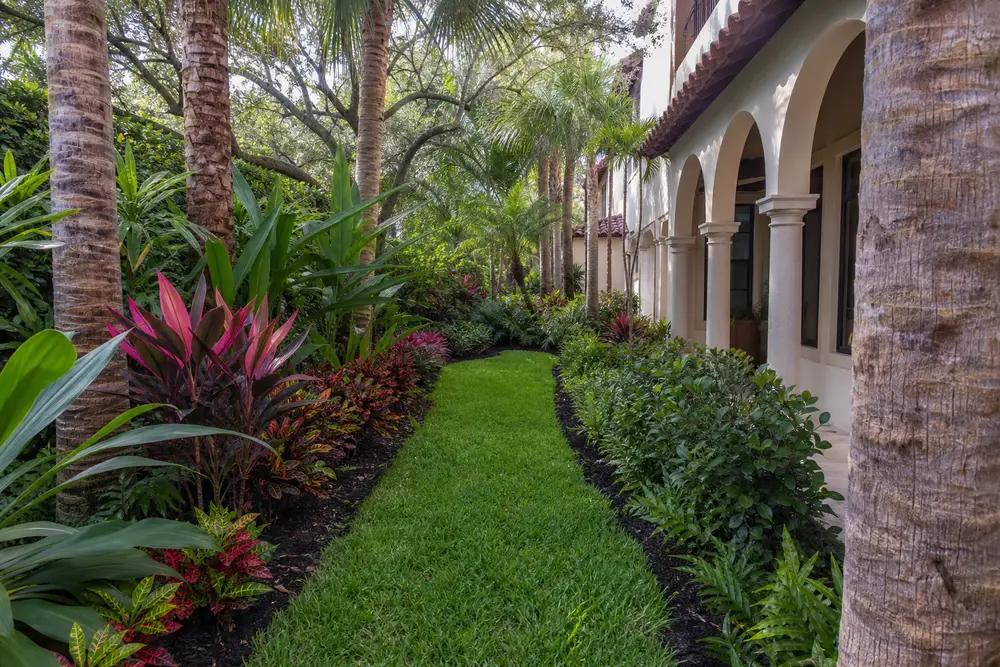 tropical courtyard turf ribbon